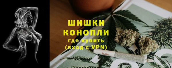 mdpv Киреевск