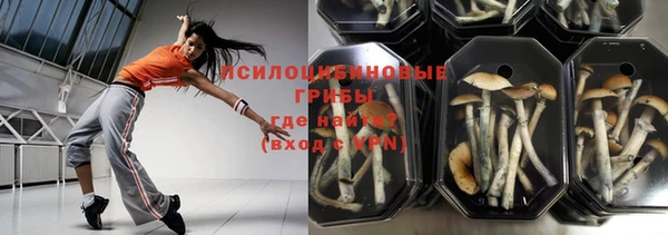 mdpv Киреевск