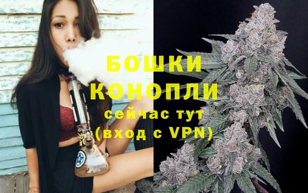 PSILOCYBIN Новый Уренгой