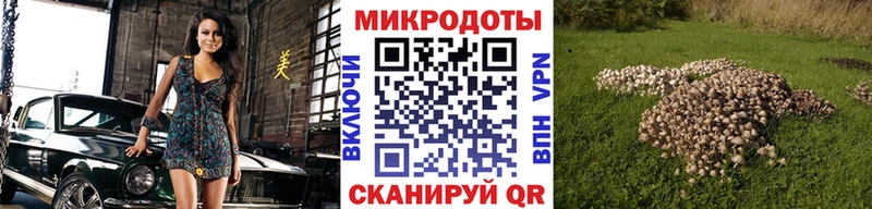 Псилоцибиновые грибы Magic Shrooms  Мглин 